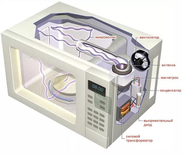 Як працює мікрохвильова піч